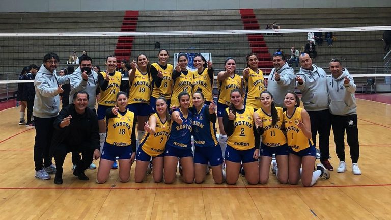 VoleyARV